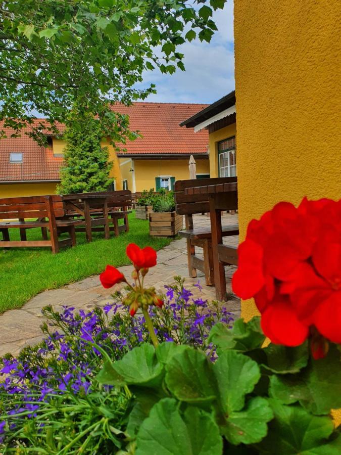Landhof Steinbaeck Hotell Sankt Stefan ob Stainz Exteriör bild
