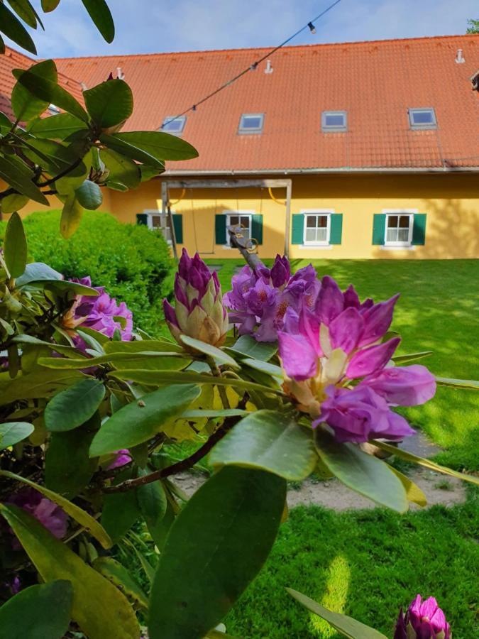 Landhof Steinbaeck Hotell Sankt Stefan ob Stainz Exteriör bild